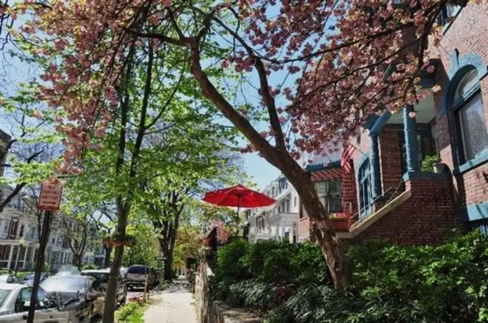 Kalorama Guest House