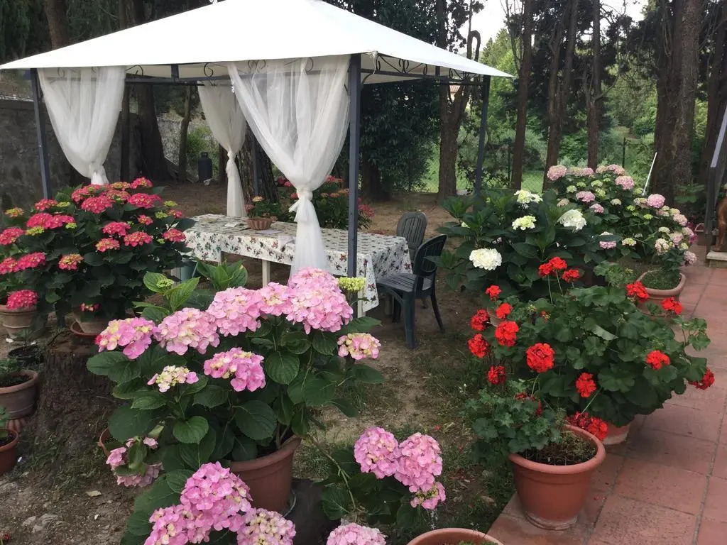 Camere e Appartamenti Baldini Romanita
