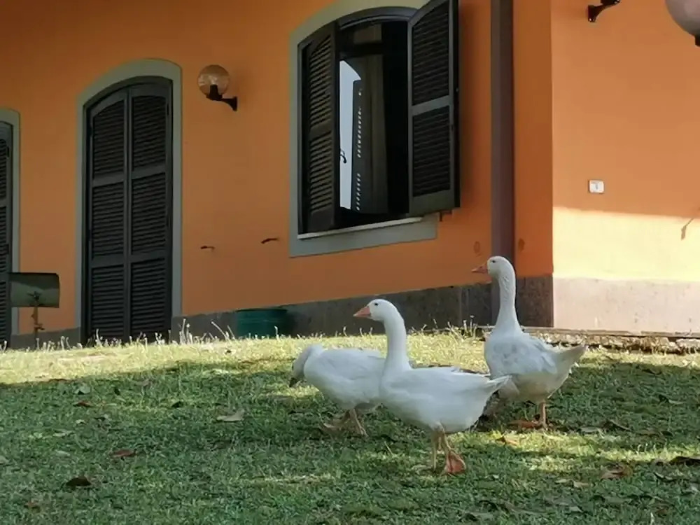 Airone House, Perfect Retreat for a Relaxing Vacation Just a few Steps From Rome