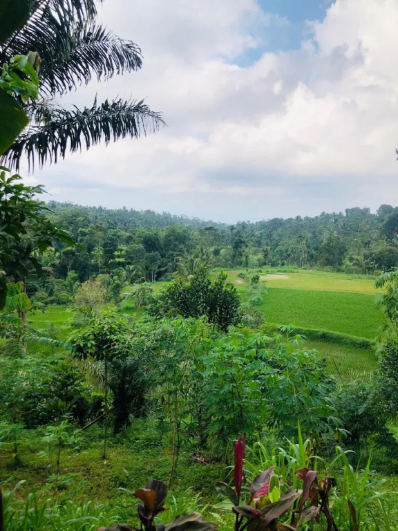 Serenity Lodge Tetebatu Lombok