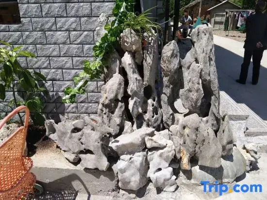Jing County Natural Farm Stay