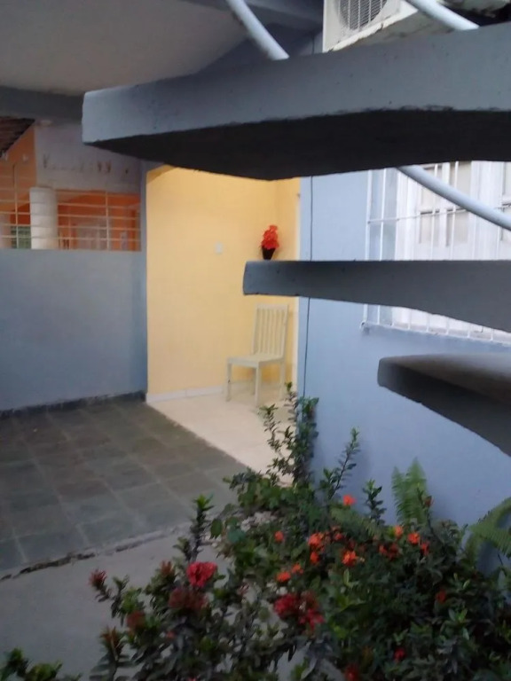 Casa corazón de galinha