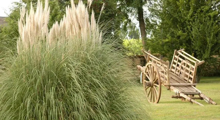 Domaine du Treuil