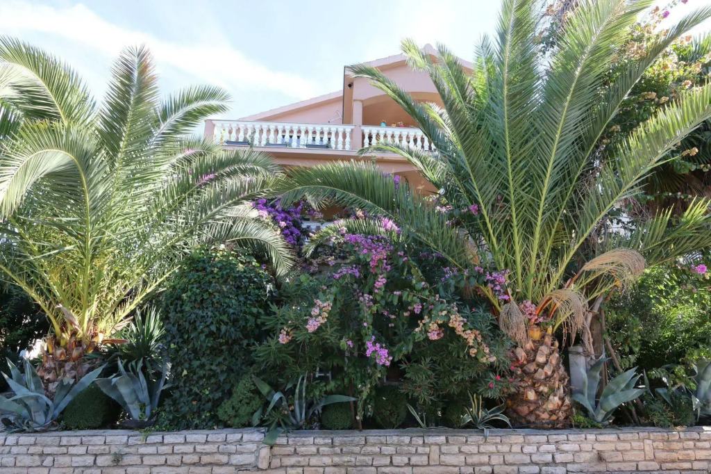 Apartments Moreta