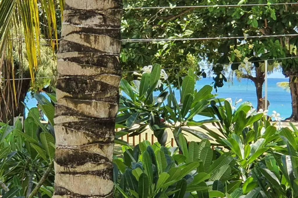 Porte du Bonheur - Freshly renovated 2 bedrooms flat - 50m from beach