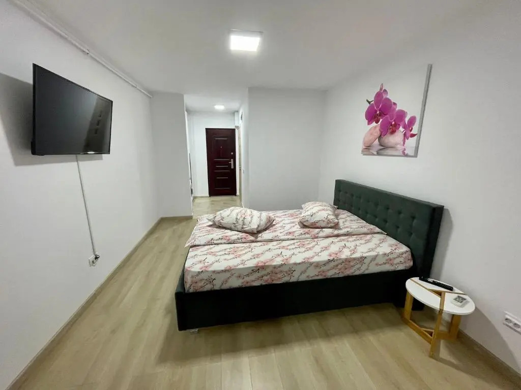Garsoniera moderna 1