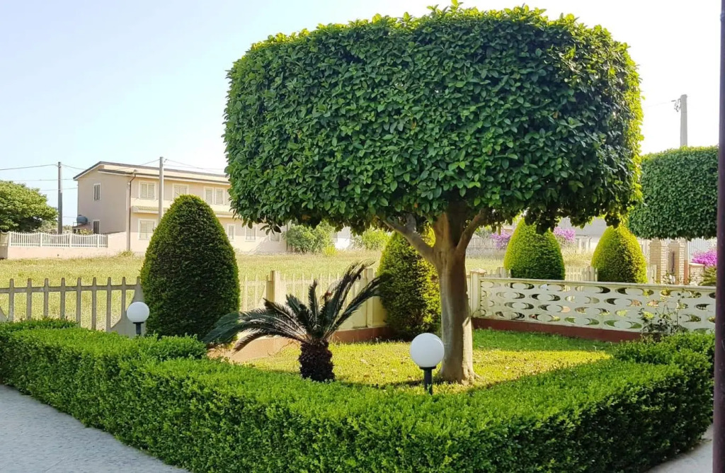 Capo Rizzuto Home