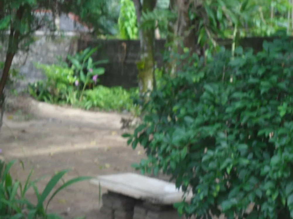 Serene Residence