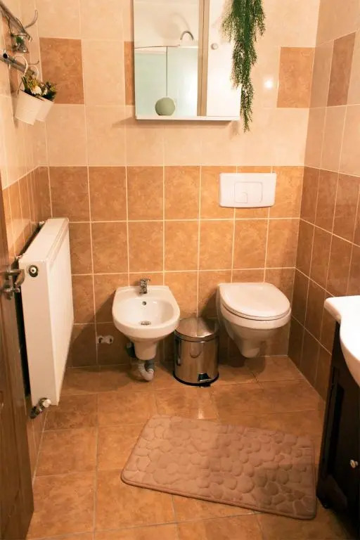 Apartament Mountain Life