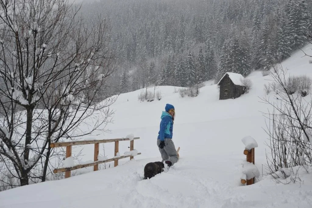 Bad Kleinkirchheim Bio Naturhof Ottingerhof