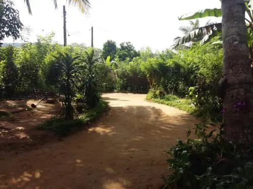 Pinnawala home stay