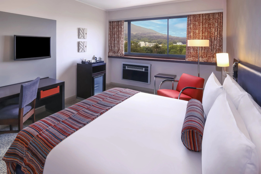 Southern Sun Newlands