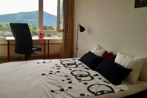 Central Furnished 2BR Rental in Geneva