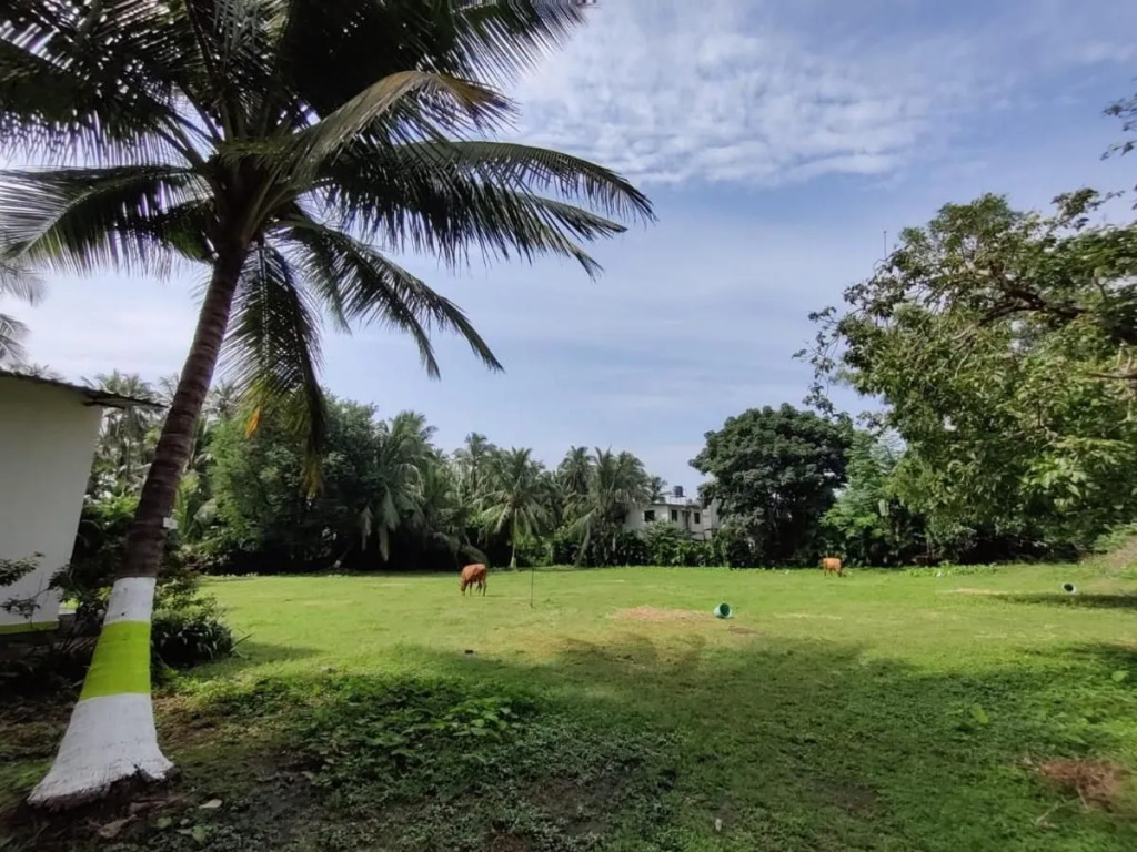 Opulence Resort Varsoli Alibaug
