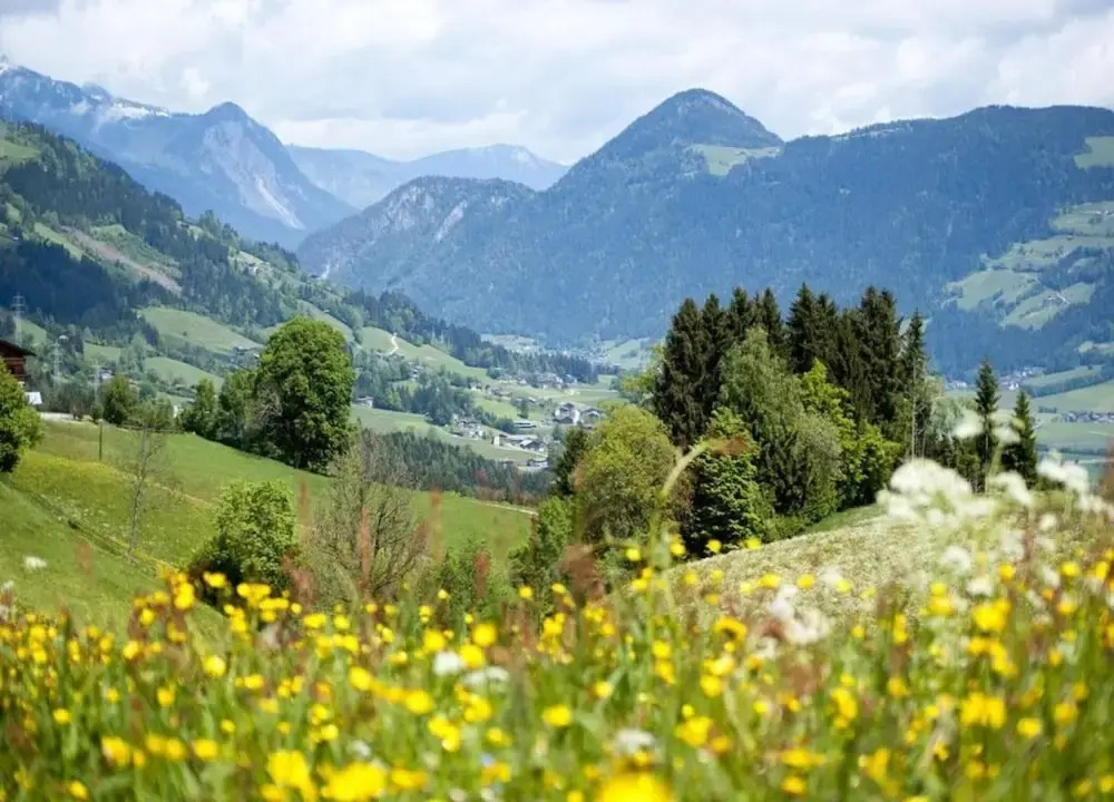 Superior Chalet mit 4 Schlafzimmern & Wellness