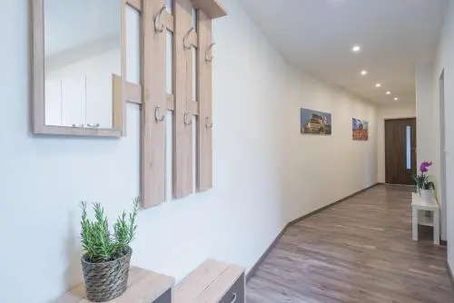 Čajkovskij Apartments Brno-jih