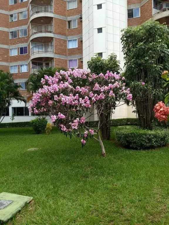Apartamento Mundi - Império Romano - Caldas Novas