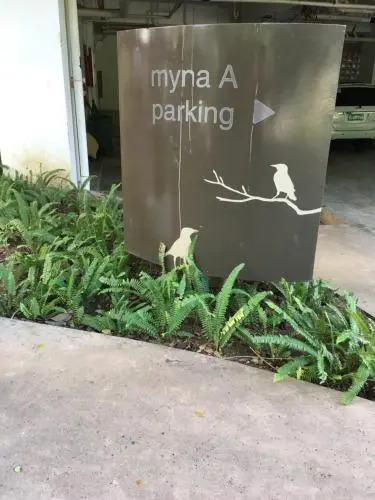 Myna Lagoon Pico de Loro