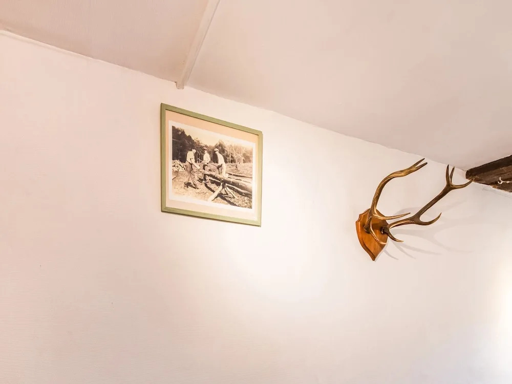 Forestside Escape for 15 Guests