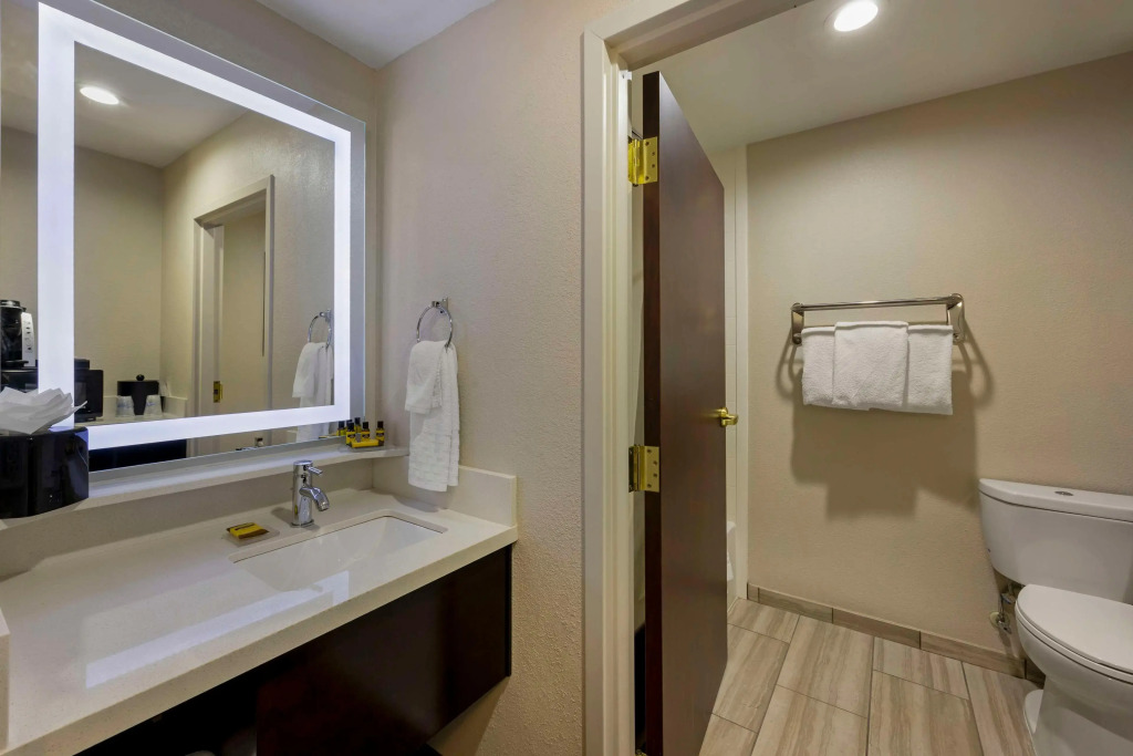 Best Western Plus Nashville Airport Hotel - BNA