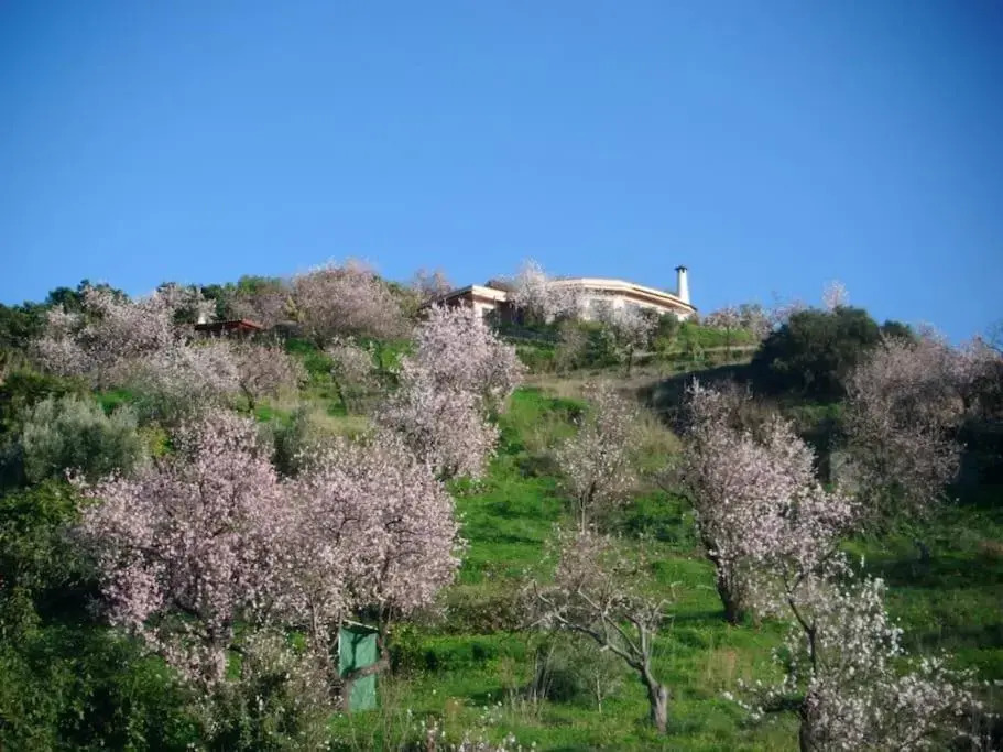 Villa Colina Tropical