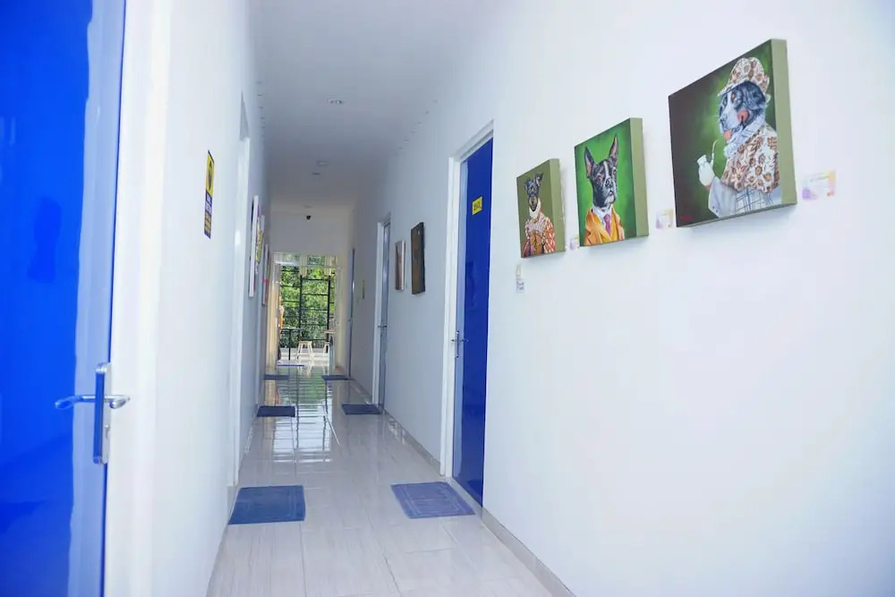 Nau Hostel