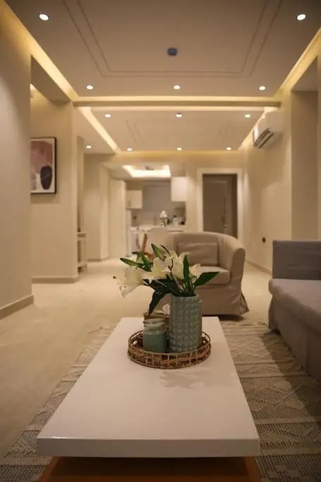 Well furniture 2 bedroom apartment