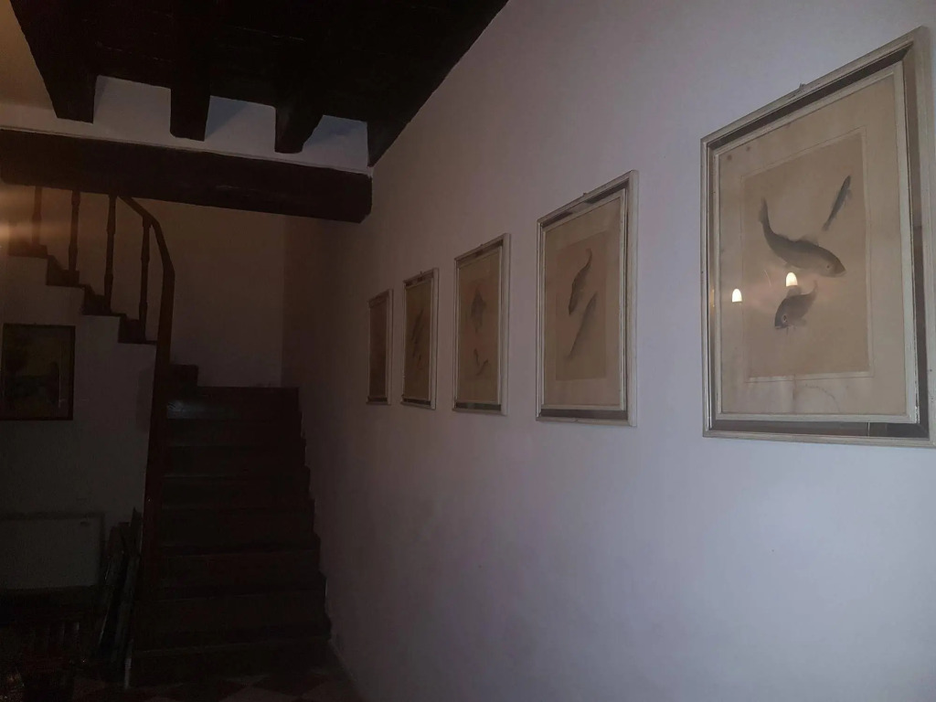 Casa Artè