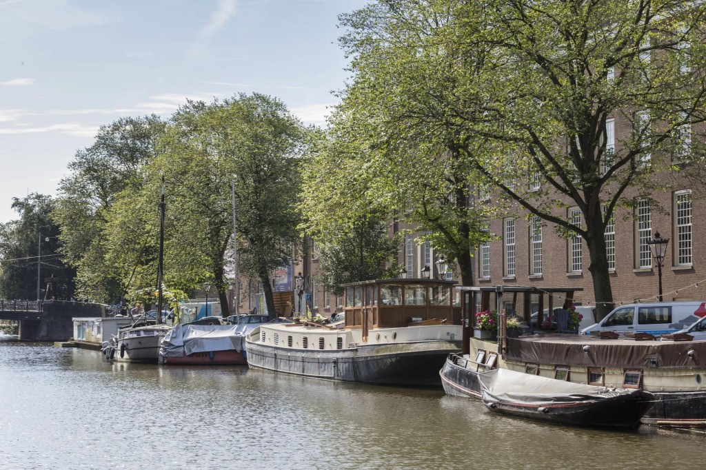 Wittenberg by Cove