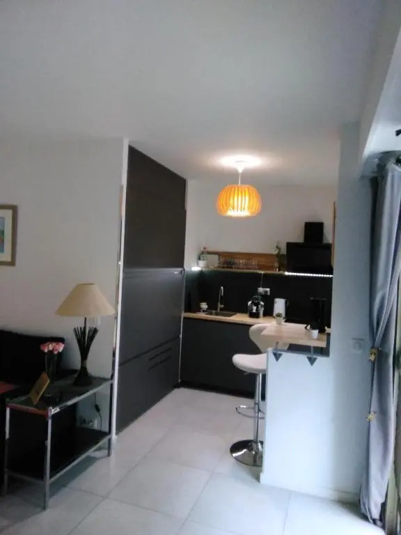 NICE- GAIRAUT - JARDIN PRIVE- GRAND F1 LUMINEUX-Piscine Collective