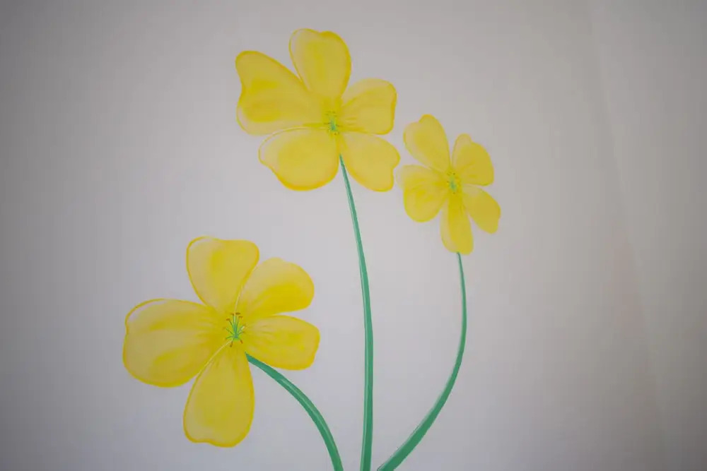B&B Fiori Gialli Caucana