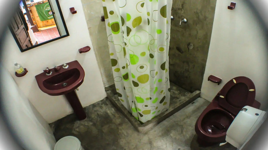 Kingbird Hostel