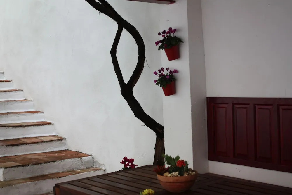 La casa del arbol