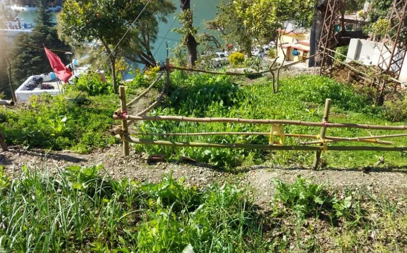 Trishul Regency Kausani