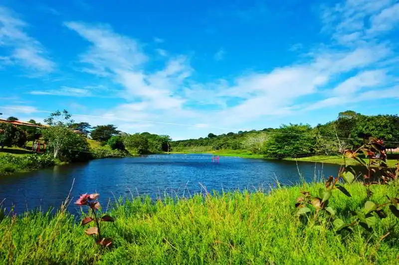 Tropical Eco Resort