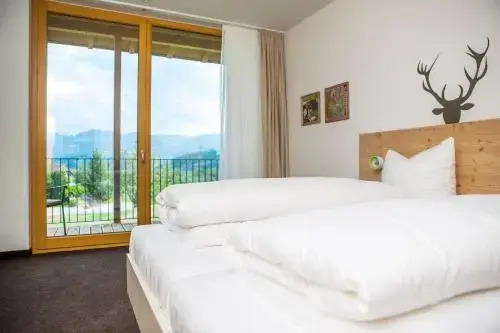 Hotel Die Alm