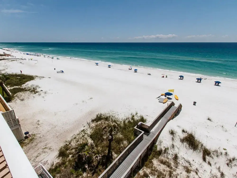 The Palms 401