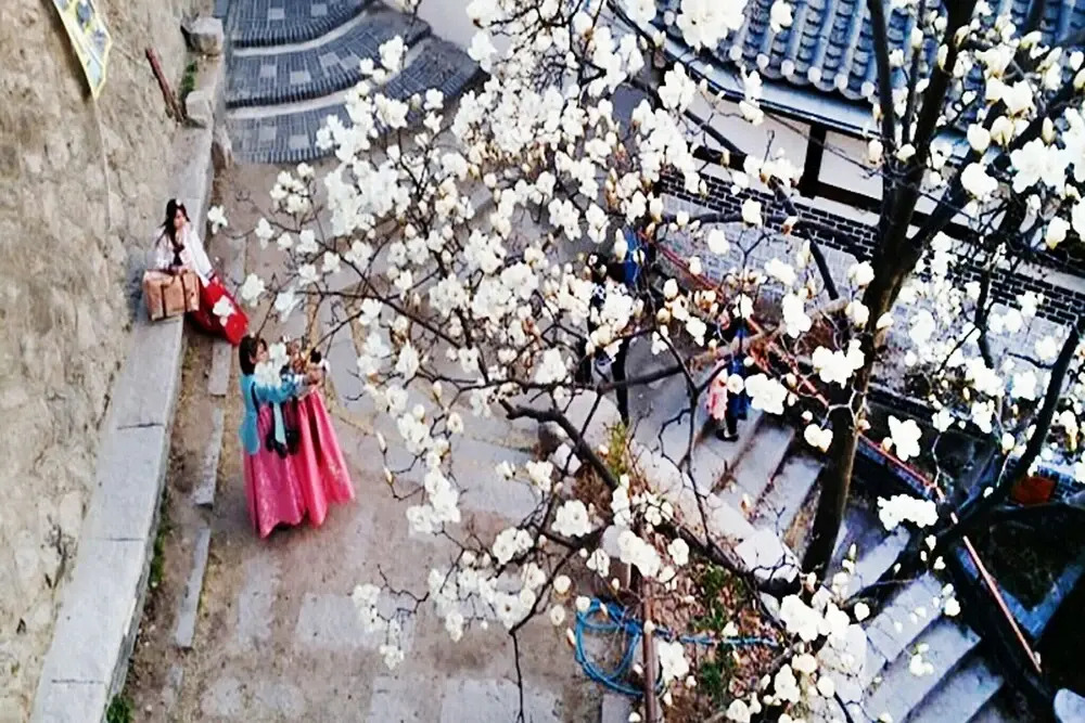 Samcheongdong Korea Guesthouse