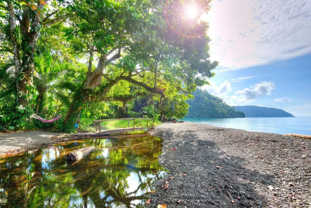 Playa Nicuesa Rainforest Eco Sanctuary