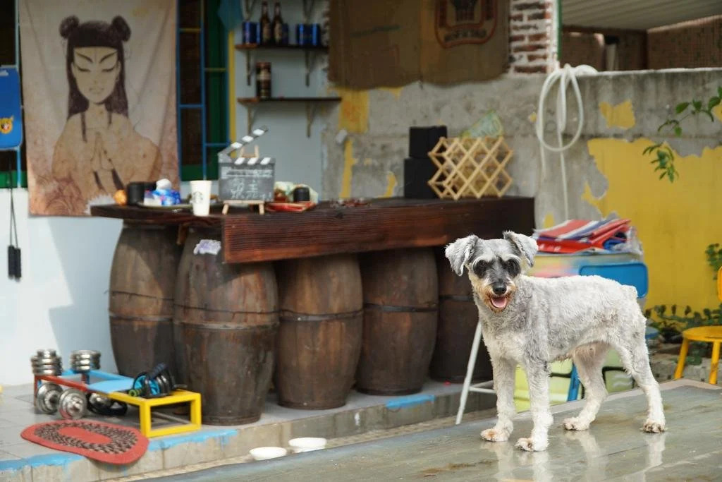 Zhuhai Cangzang Time Hostel