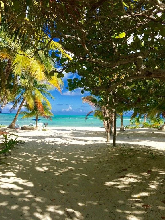 The Ascension Bay Lodge