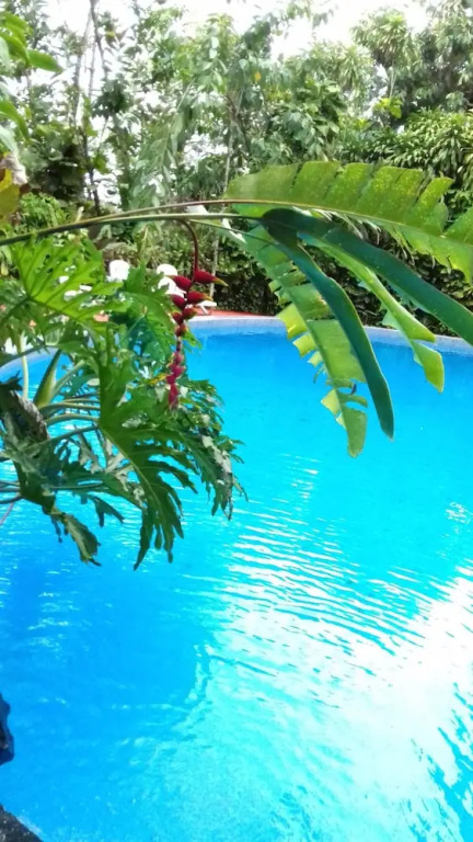 Yaguarete Lodge