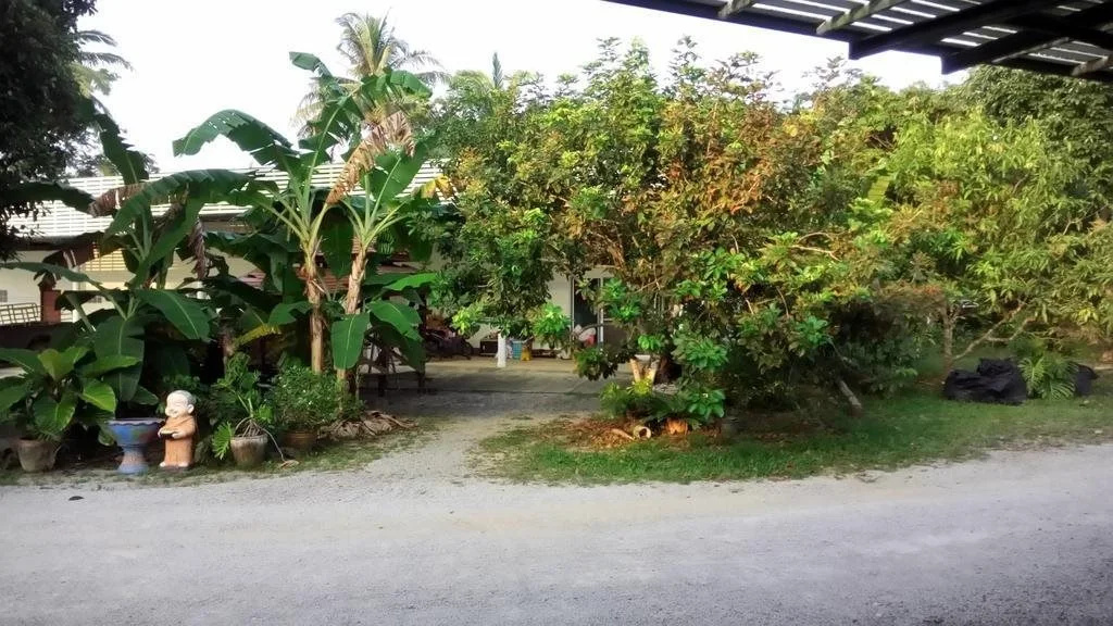 The Park