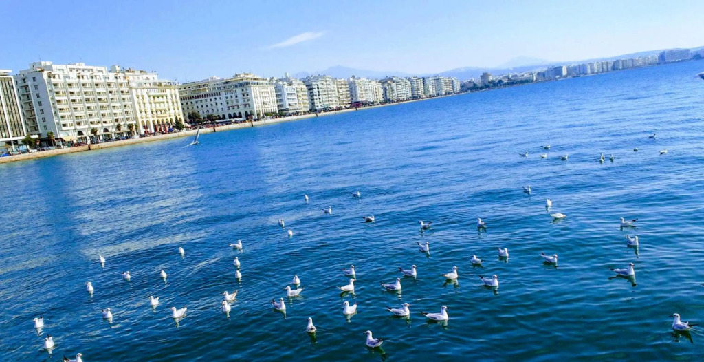 Here Thessaloniki! In the city near the sea
