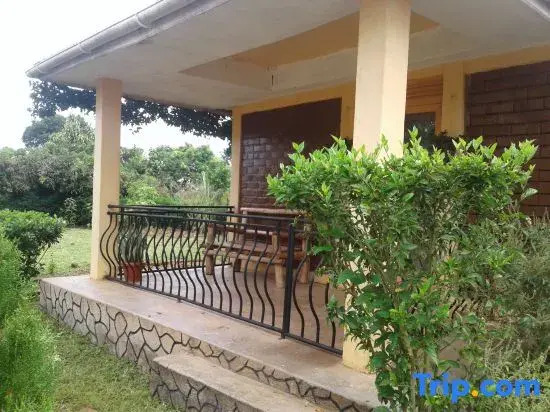 Plastic Bottles House
