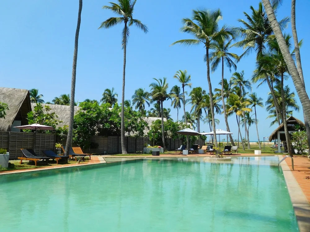 Blue Whale Resort & Kite Surfing