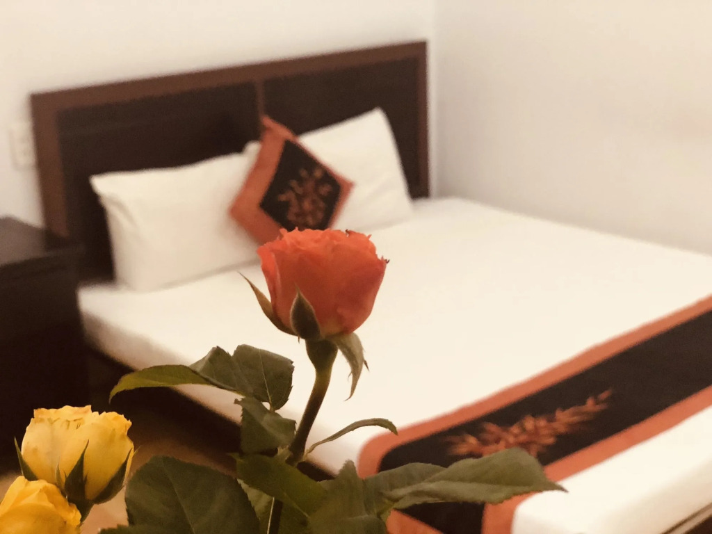 Tammy Hostel