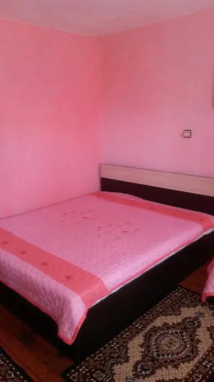 Elena Guest House