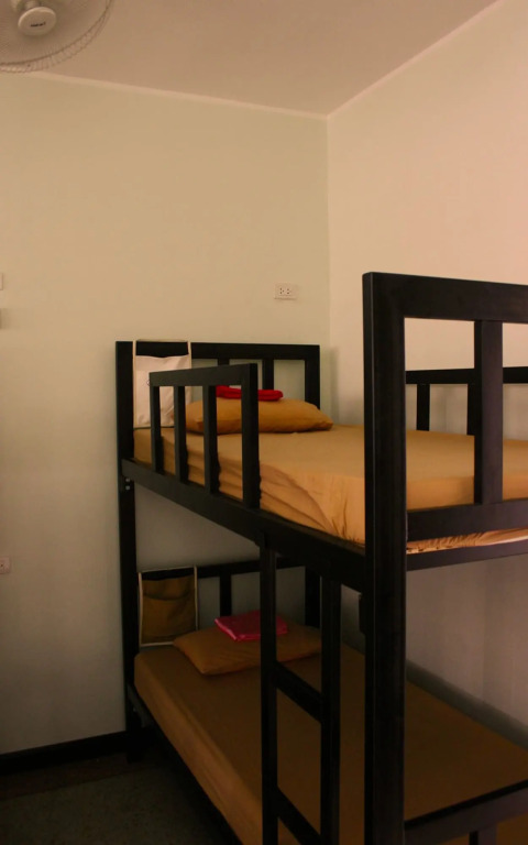 Born Free Hostel