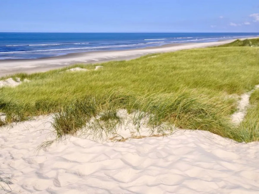 "Kenai" - 700m from the sea in Western Jutland